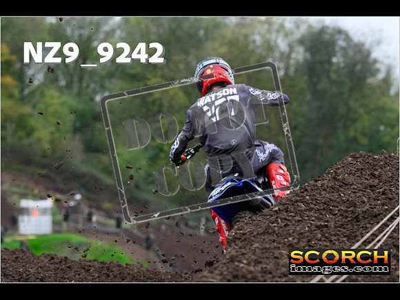 Experts-049