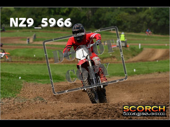Experts-053