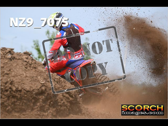 Experts-467