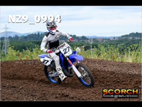 IntersGreen-011