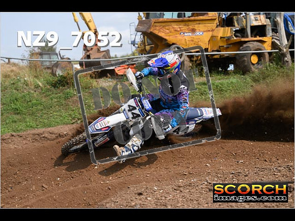 Experts-448
