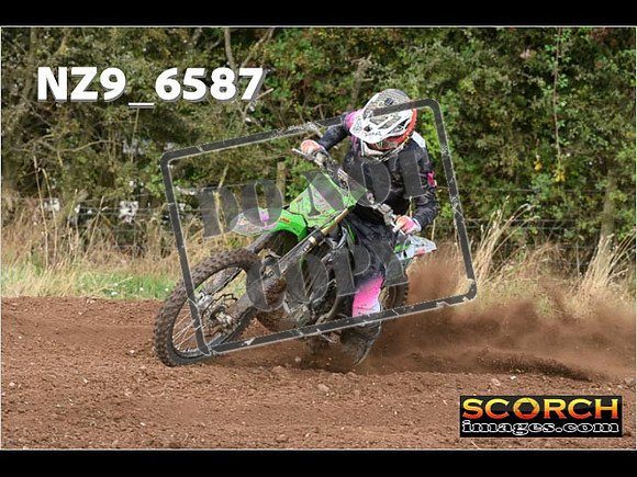 Experts-293