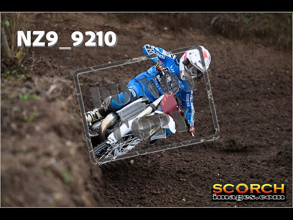 Experts-019
