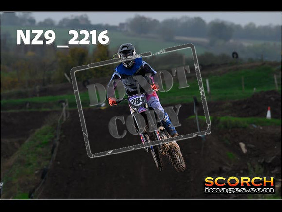 Experts-216