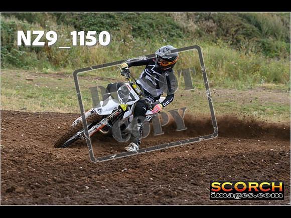 Experts-095