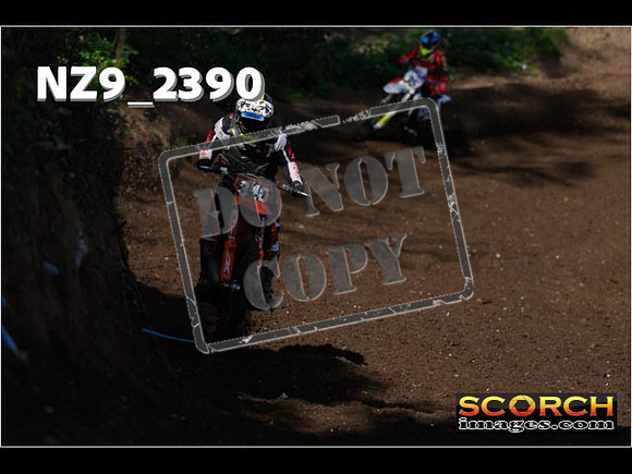 Experts-047