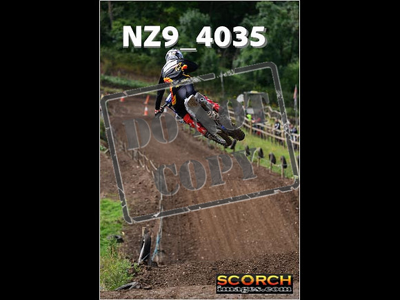 Experts-141