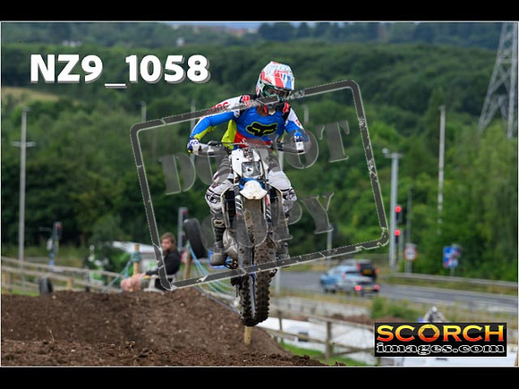 IntersGreen-073