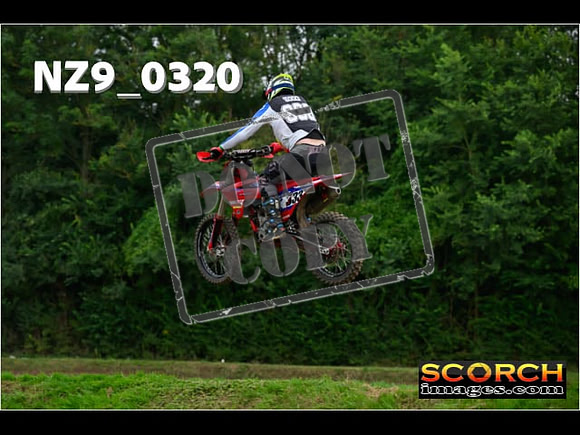 Novice-289