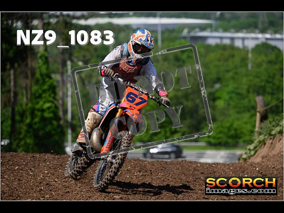 Experts-159