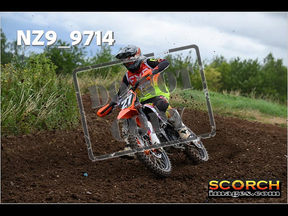 Experts-106