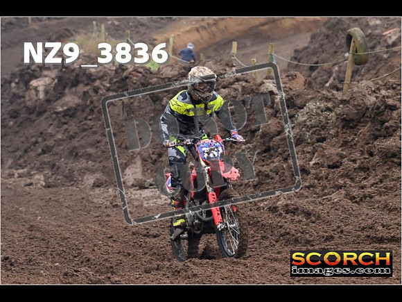 Experts-032