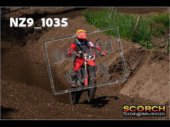 Experts-113