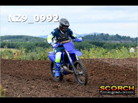 IntersGreen-009