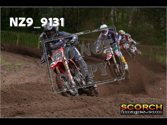 MX1-099