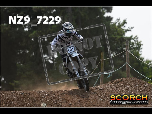 Inters Green-224