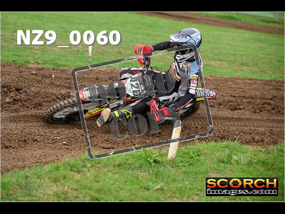 Novice-233