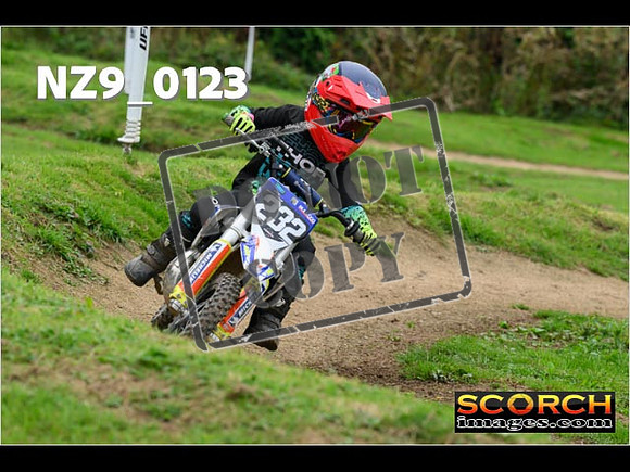 PeeWee Track-43