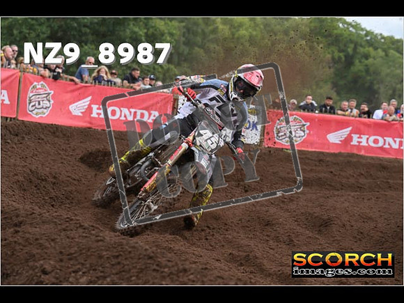 MX2-134