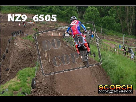 Experts-313