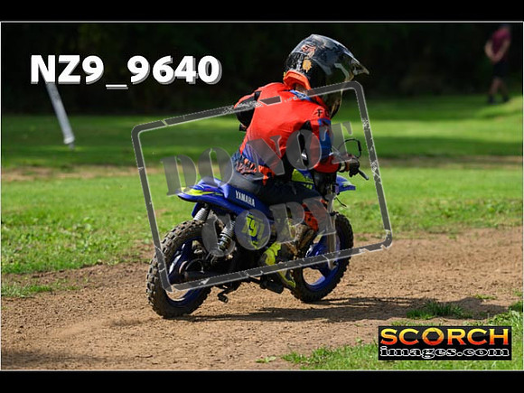 PeeWee Track-09