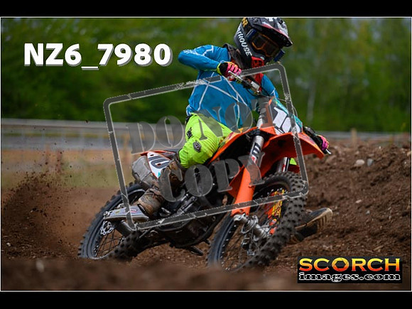 Experts-169