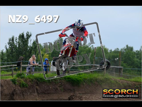 Experts-305