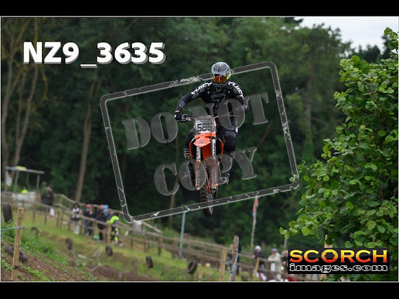 Experts-045