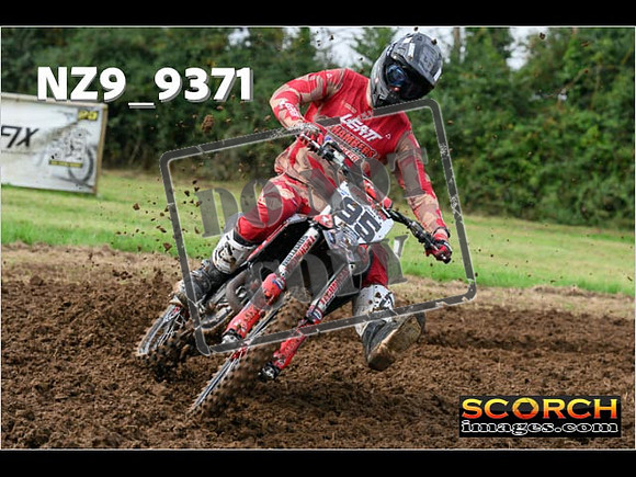 Experts-039
