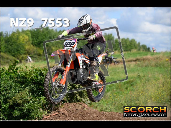 IntersGreenOrange-041
