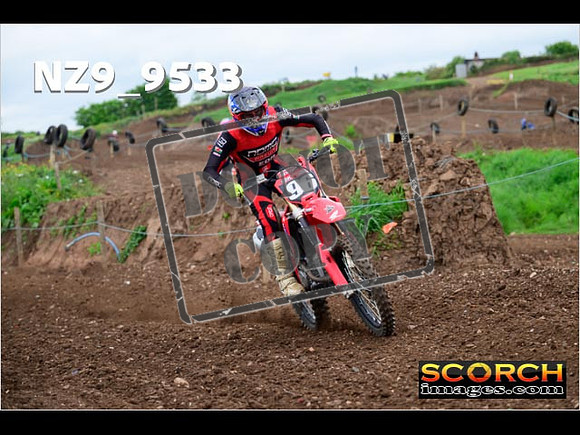 Experts-131