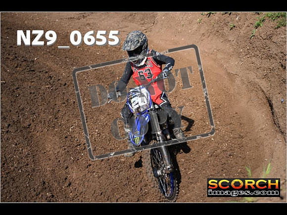 Experts-063
