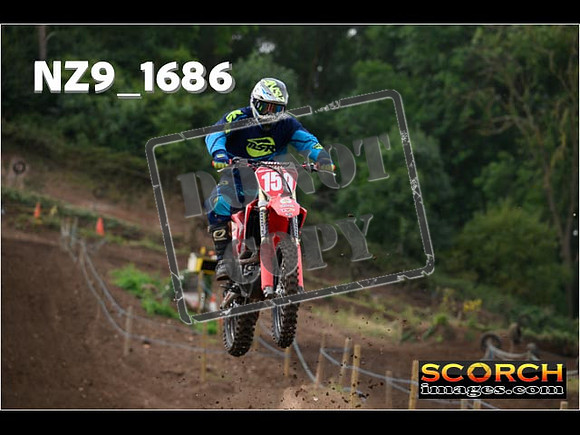 IntersGreenOrange-092