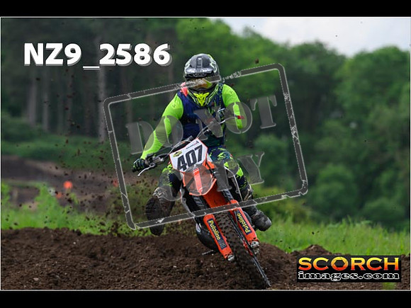 Experts-034