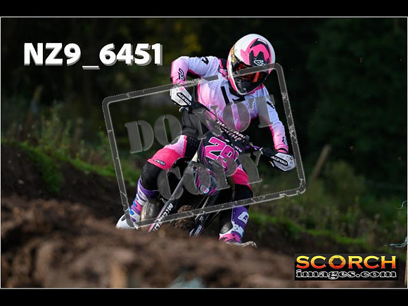 Experts-066