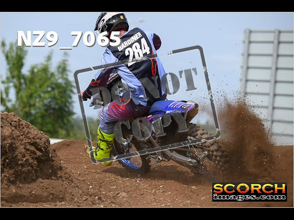 Experts-460