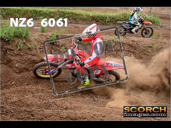 Inters Green-200