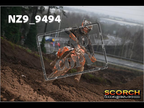 Experts-118