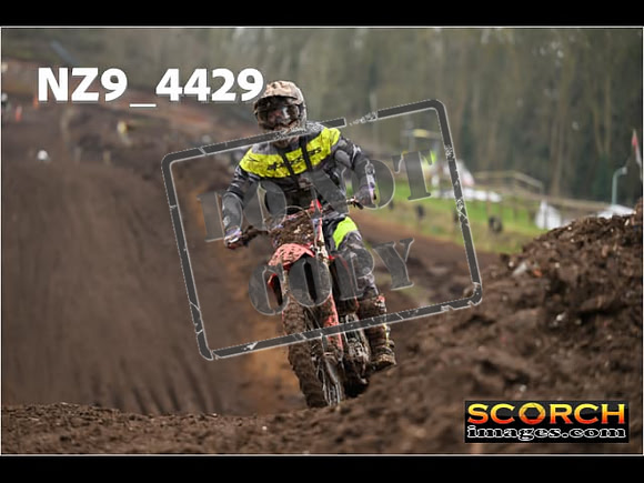 Experts-271