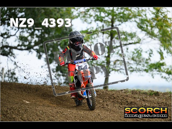 Auto 65's-057