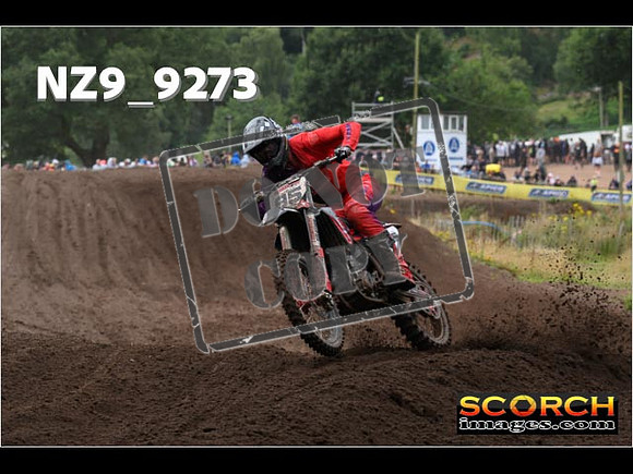 MX1-221