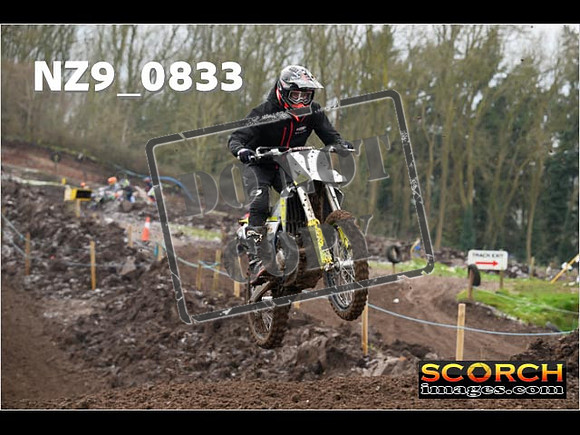 IntersGreenOrange-125