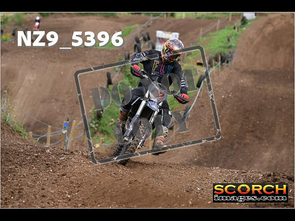 Experts-172