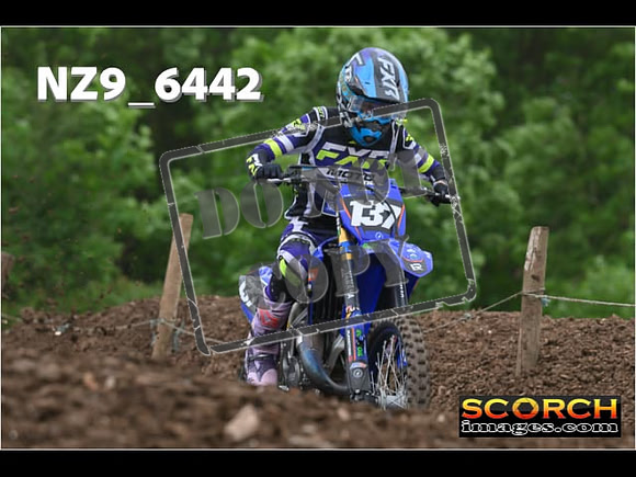 Experts-254