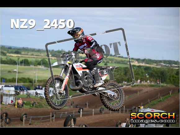 Experts-107