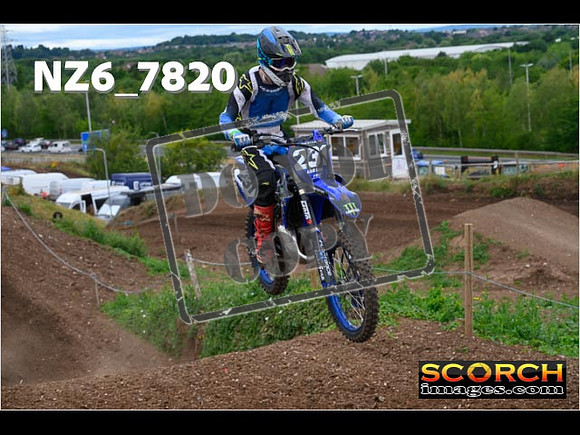 IntersGreen-132