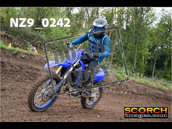 IntersBlue-330