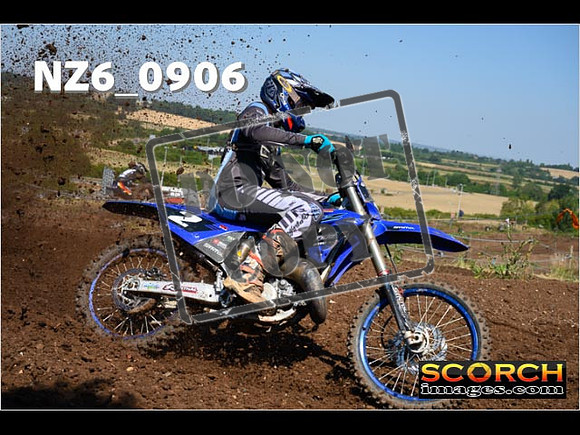 Experts-066