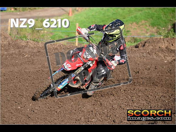 Experts-154