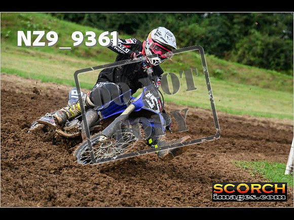 Experts-030